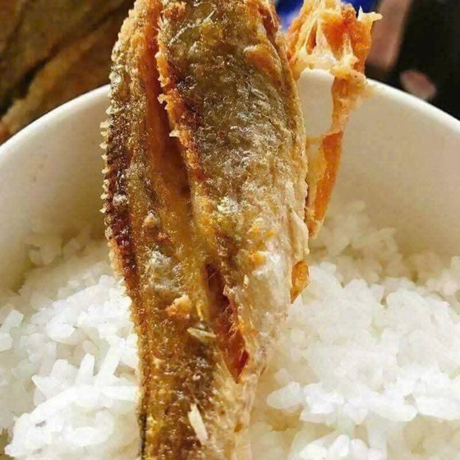 Cá đù 1 nắng 20-30 con/kg