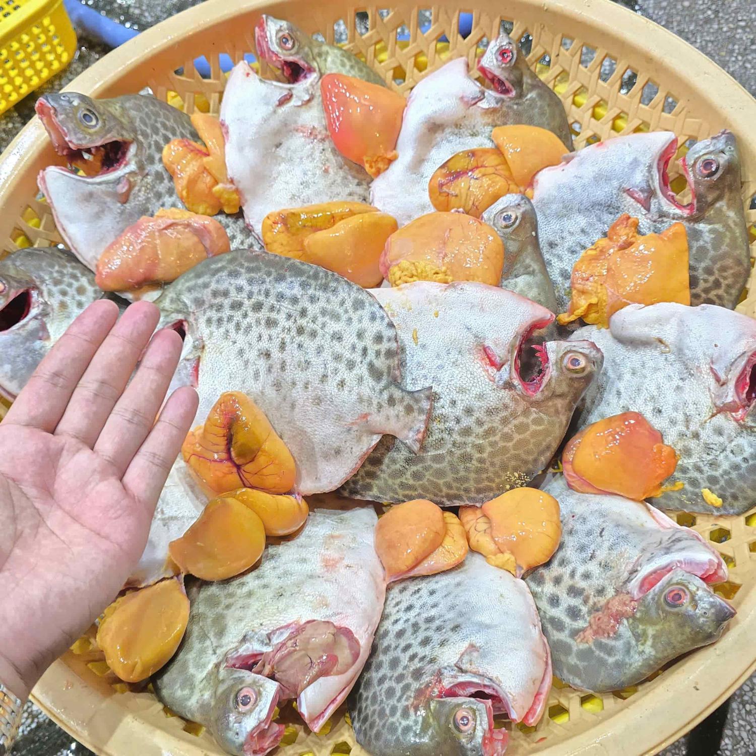 Cá nâu 3 con hơn kg
