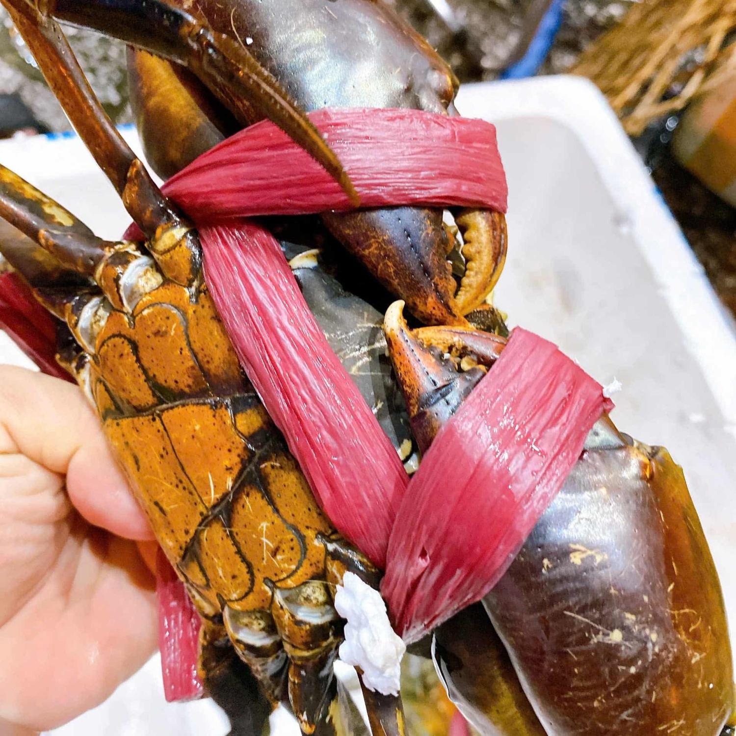 Cua thịt lớn 2-3 con/kg