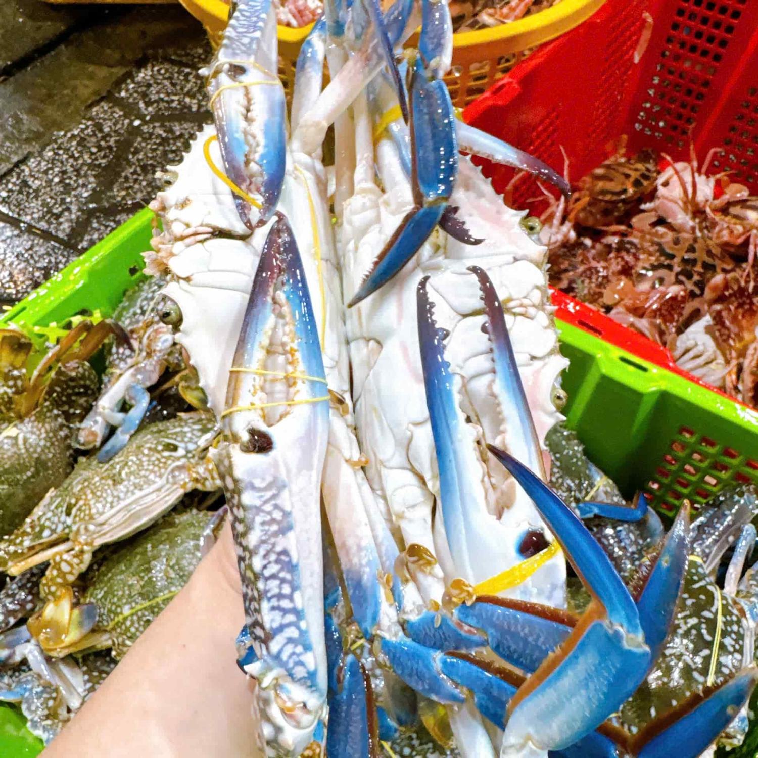 Ghẹ xanh 5 con/kg