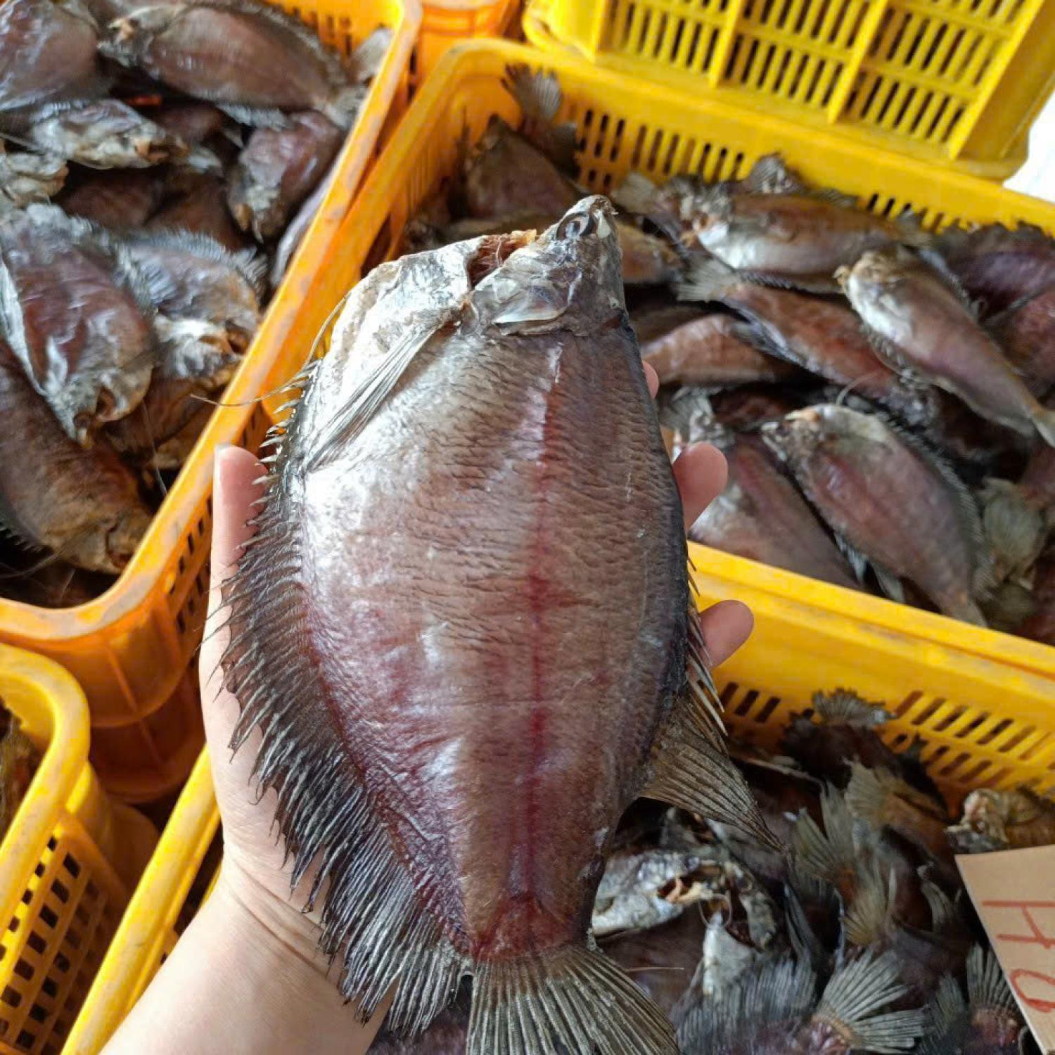 Khô sặc rằn lạt 6-8 con/kg