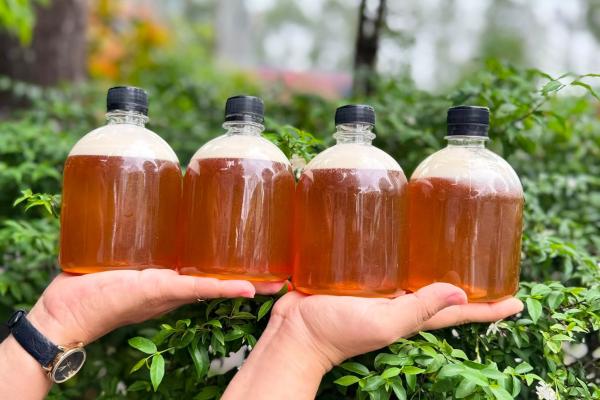 Mật Ong Rừng U Minh Hạ – Đặc Sản Mang Hương Vị Cà Mau